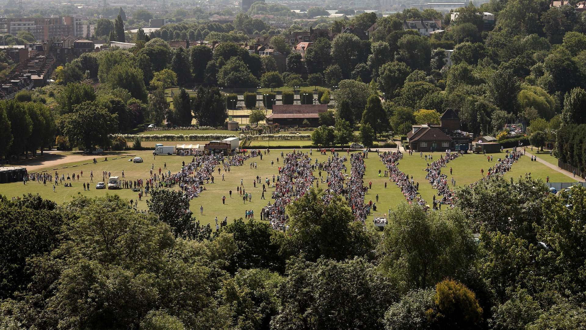 这类颇具情 这类颇具情